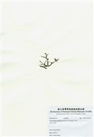 藏品(網狀球枝藻)的圖片